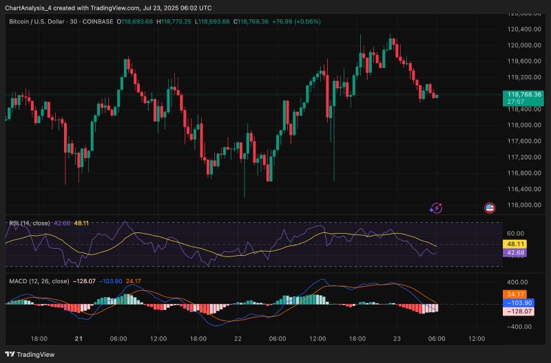 kaiyun(中国)官方网站-关于Coinbase飙升势惊人，一夜飙升118%，加密市场沸腾的信息